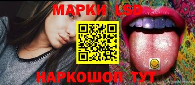 apvp Аша