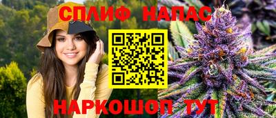 apvp Аша