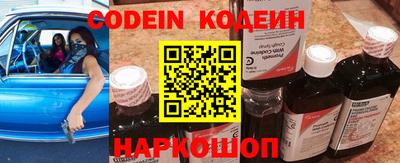 apvp Аша