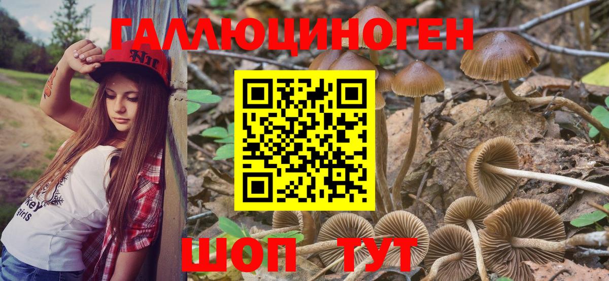 Губаха  Галлюциногенные грибы MAGIC MUSHROOMS  Вход с VPN 