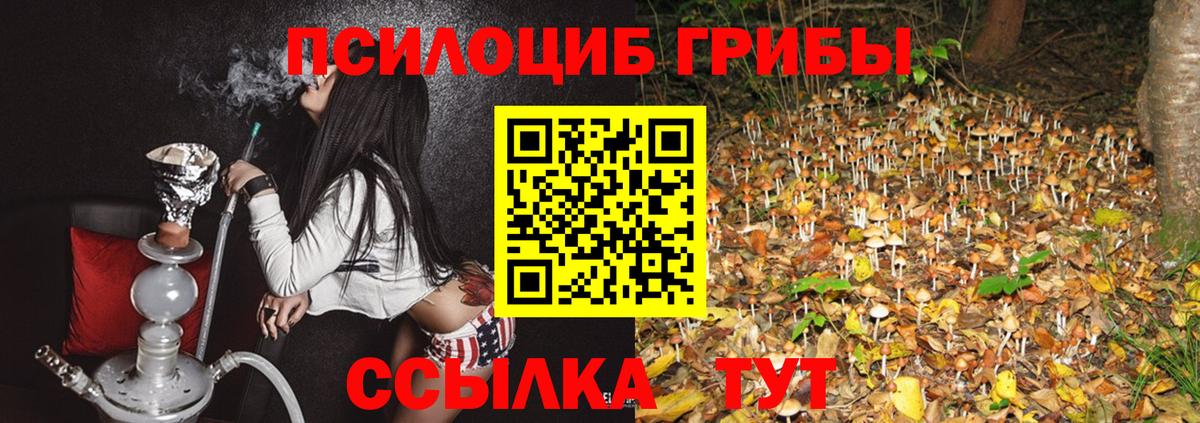 Галлюциногенные грибы ЛСД Губаха